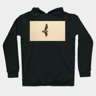 Osprey in Flight Hoodie